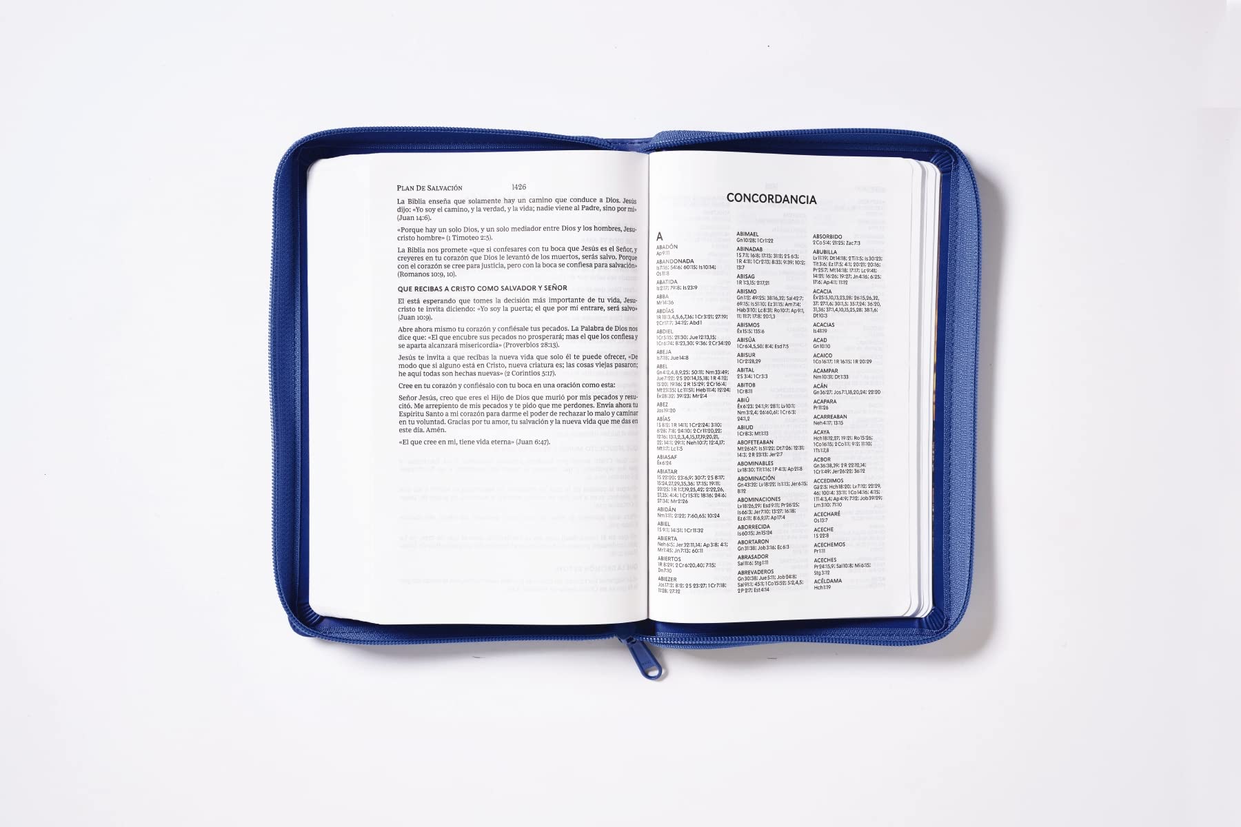 Biblia Reina Valera 1960, Tierra Santa, Ultrafina Letra Grande, Imitación Piel Azul, Con Cierre - Imagen 4