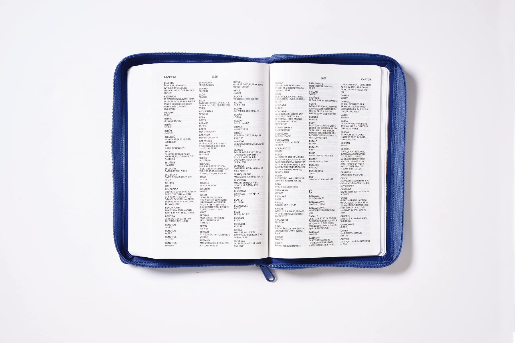 Biblia Reina Valera 1960, Tierra Santa, Ultrafina Letra Grande, Imitación Piel Azul, Con Cierre - Imagen 5