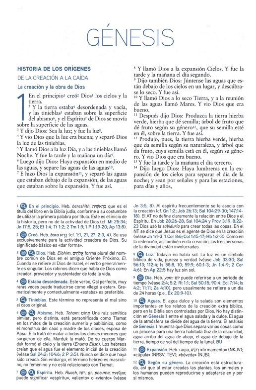 RVR 1960 Biblia de Estudio del Mensaje Profético y Escatológico, Rústica - Imagen 3
