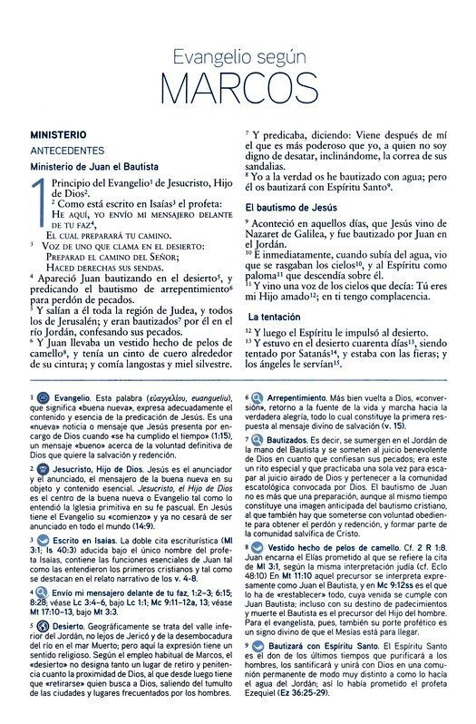RVR 1960 Biblia de Estudio del Mensaje Profético y Escatológico, Rústica - Imagen 6