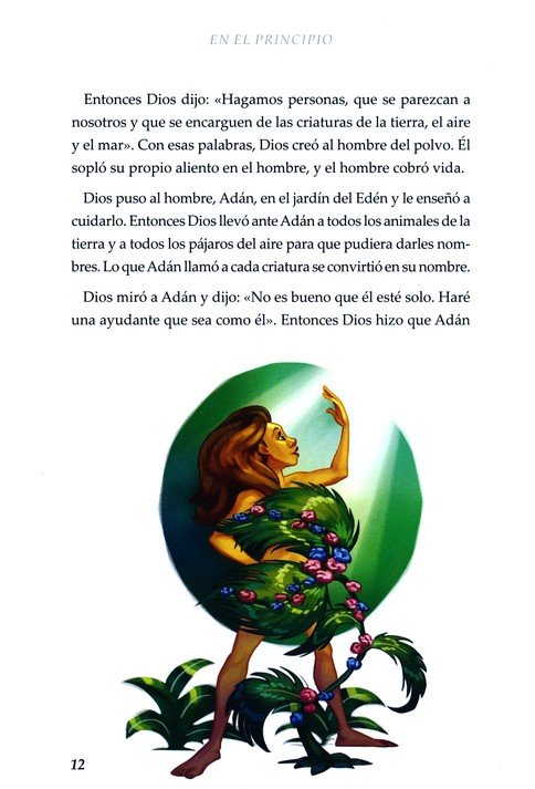 Biblia Del Plan Asombroso De Dios - Tapa Blanda - Amy Parker - Imagen 5