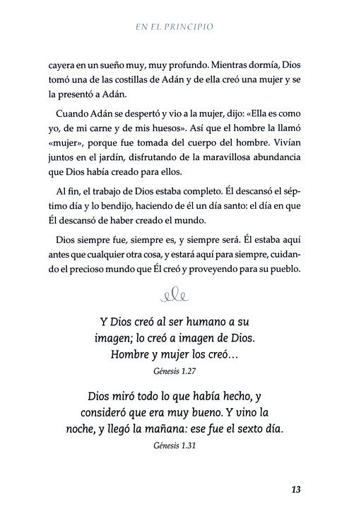 Biblia Del Plan Asombroso De Dios - Tapa Blanda - Amy Parker - Imagen 6