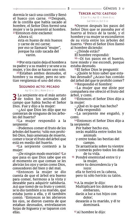 Biblia Católica Tamaño Personal, Tapa Dura, Azul Con Índice - Imagen 6