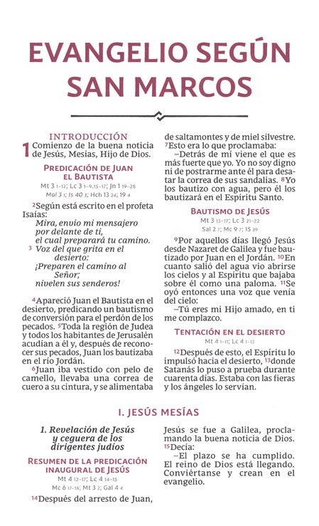 Biblia Católica Tamaño Personal, Tapa Dura, Azul Con Índice - Imagen 7