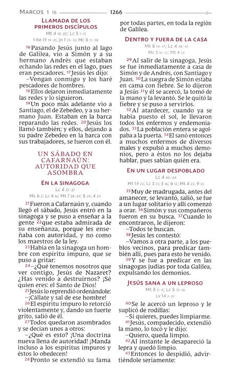 Biblia Católica Tamaño Personal, Tapa Dura, Azul Con Índice - Imagen 8
