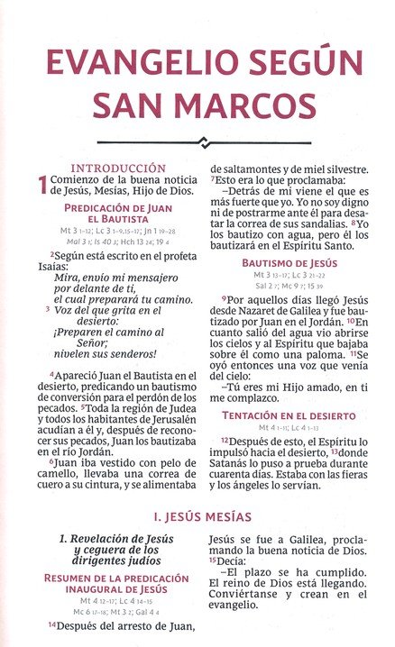 Biblia Católica Precious Moments, Tamaño Manual, Imitación Piel, Azul Celeste - Imagen 7