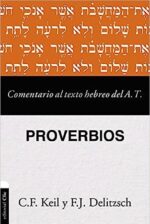 Comentario Al Texto Hebrero Del Antiguo Testamento – Proverbios -  Tapa Blanda - Franz Deilitzsch