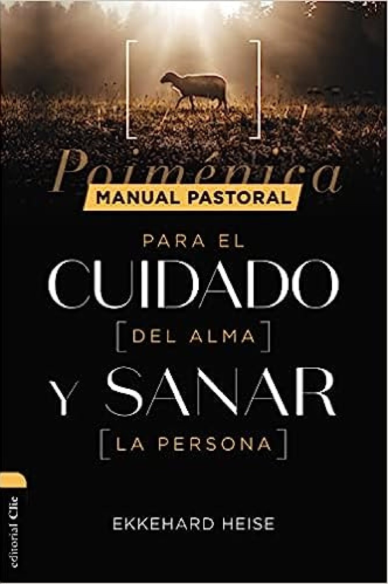 Manual Pastoral Para Cuidar El Alma Y Sanar La Persona - Tapa Blanda - Ekkehard Heise Rost