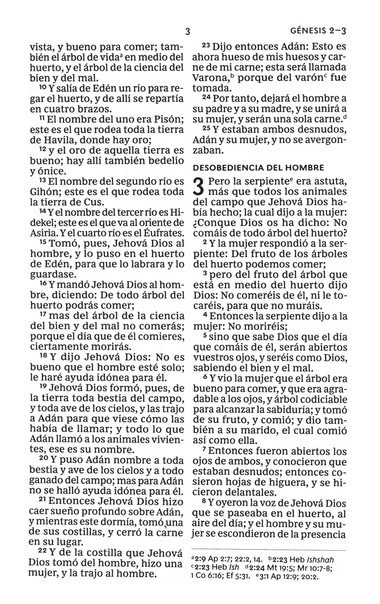 RVR60 Santa Biblia, Letra Grande, Tamaño Compacto, Tapa Dura, Tela Azul Floral, Edición Letra Roja Con Índice - Imagen 6