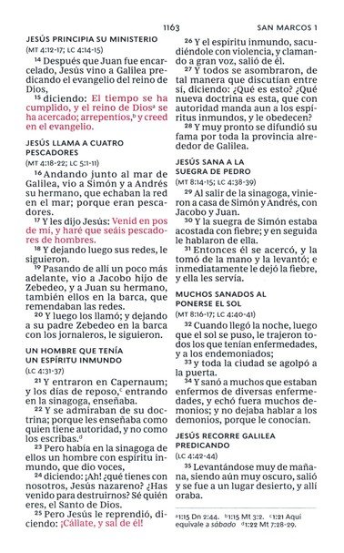 RVR60 Santa Biblia, Letra Grande, Tamaño Compacto, Tapa Dura, Tela Azul Floral, Edición Letra Roja Con Índice - Imagen 8