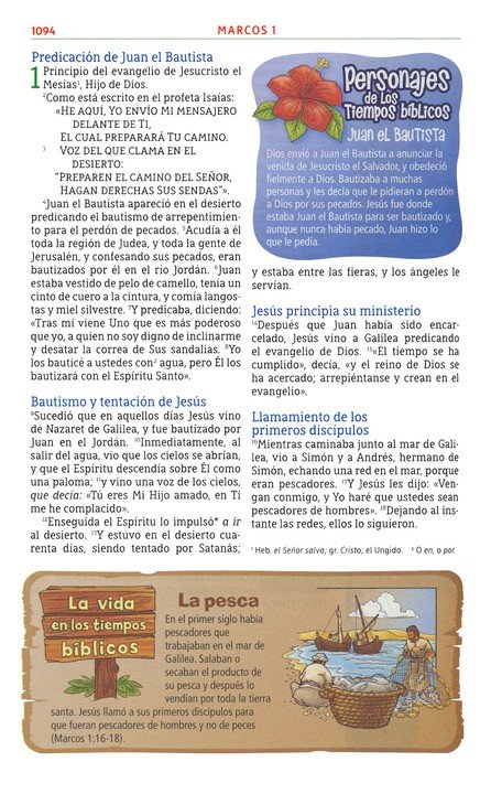 NBLA Biblia Aventura, Imitación Piel Azul, Interior A Color, Con Cierre, Edición Especial - Imagen 7