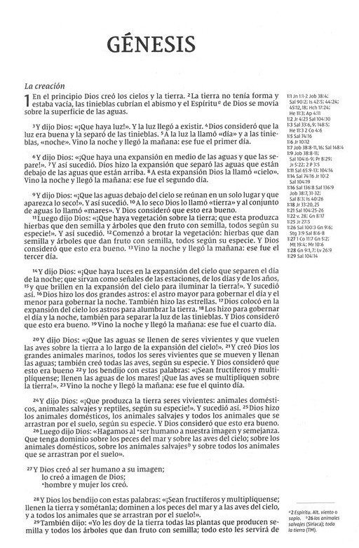 NVI, Santa Biblia, Texto Revisado 2022, Una Columna Con Referencias, Piel Reciclada, Palabras de Jesús En Rojo, Gris, Comfort Print Edición Especial - Imagen 4