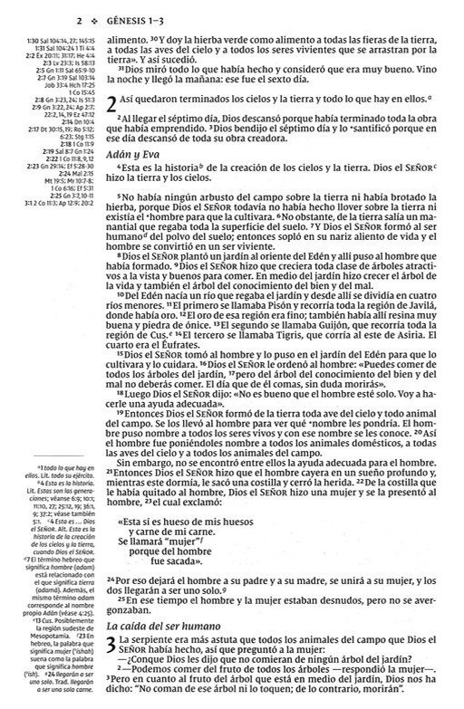 NVI, Santa Biblia, Texto Revisado 2022, Una Columna Con Referencias, Piel Reciclada, Palabras de Jesús En Rojo, Gris, Comfort Print Edición Especial - Imagen 5