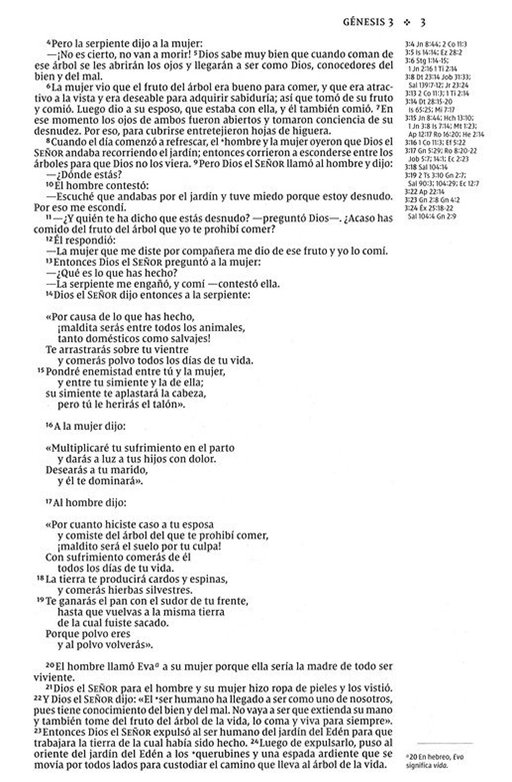 NVI, Santa Biblia, Texto Revisado 2022, Una Columna Con Referencias, Piel Reciclada, Palabras de Jesús En Rojo, Gris, Comfort Print Edición Especial - Imagen 6