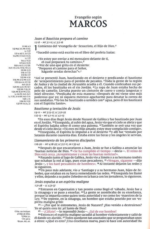 NVI, Santa Biblia, Texto Revisado 2022, Una Columna Con Referencias, Piel Reciclada, Palabras de Jesús En Rojo, Gris, Comfort Print Edición Especial - Imagen 7