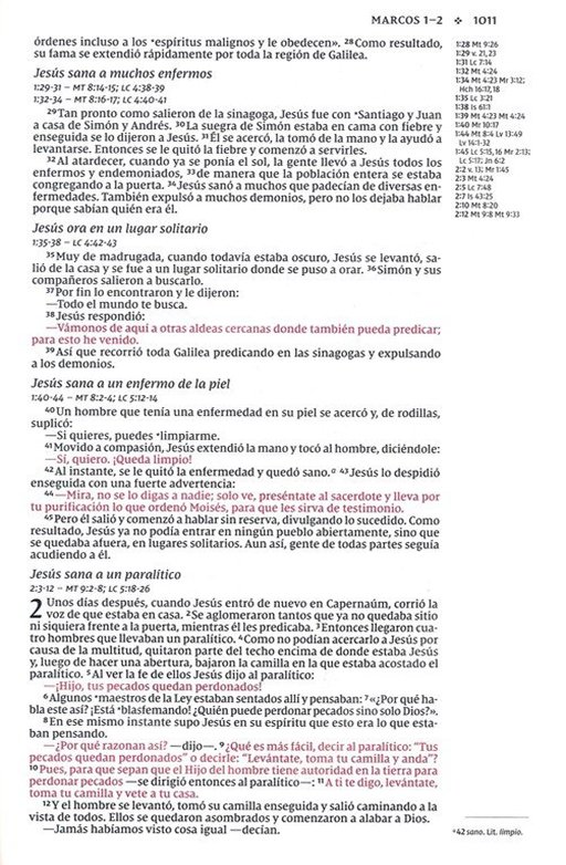 NVI, Santa Biblia, Texto Revisado 2022, Una Columna Con Referencias, Piel Reciclada, Palabras de Jesús En Rojo, Gris, Comfort Print Edición Especial - Imagen 8