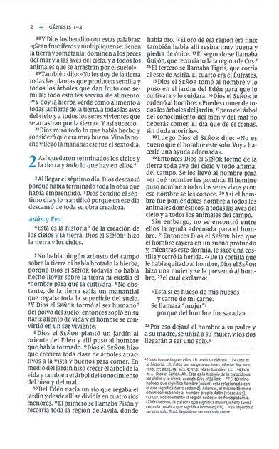NVI, Santa Biblia, Texto Revisado 2022, Ultrafina, Tamaño Compacto, Imitación Piel Azul Lavanda, Con Cierre, Palabras De Jesús en Rojo, Comfort Print - Imagen 5