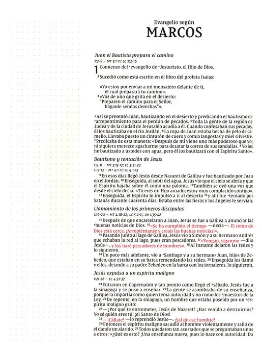 NVI Santa Biblia, Edición Artística, Tapa Dura - Imagen 8