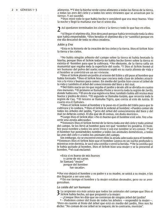 NVI, Santa Biblia, Texto Revisado 2022, Edición Artística, Tapa Dura, Palabras De Jesús En Rojo, Comfort Print - Imagen 6
