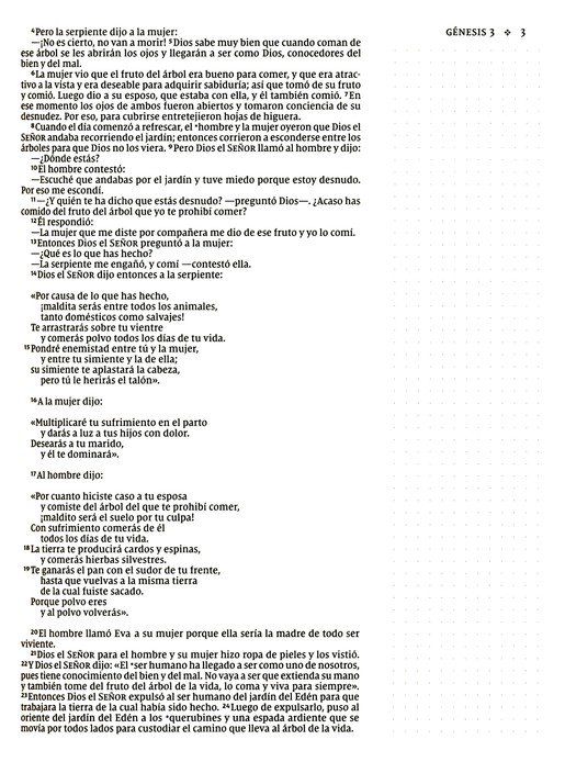 NVI, Santa Biblia, Texto Revisado 2022, Edición Artística, Tapa Dura, Palabras De Jesús En Rojo, Comfort Print - Imagen 7