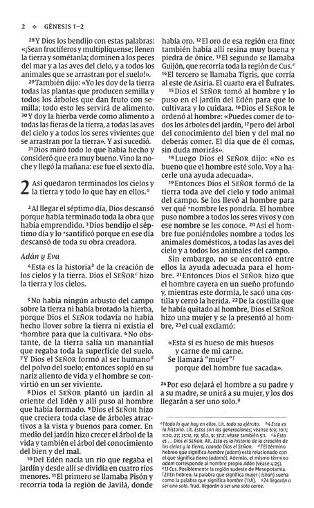 NVI Santa Biblia Edición de Ministro, Imitación Piel Azul Marino Con Índice - Imagen 5