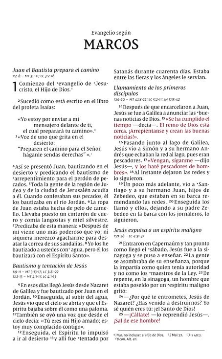 NVI Santa Biblia Edición de Ministro, Imitación Piel Azul Marino Con Índice - Imagen 7