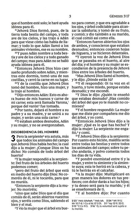 RVR60 Biblia Ultrafina Letra Grande Blanca - Imagen 6