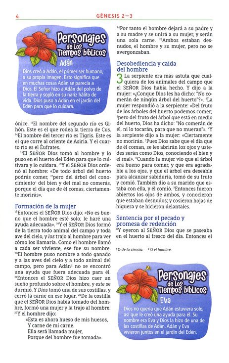 NBLA Biblia Aventura, Tapa Dura, Interior A Color, Con Cierre Magnético - Imagen 5