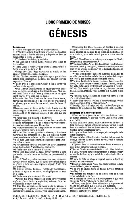 Reina Valera 1960 Santa Biblia Edición Económica, Tapa Blanda, Paisaje - Imagen 3