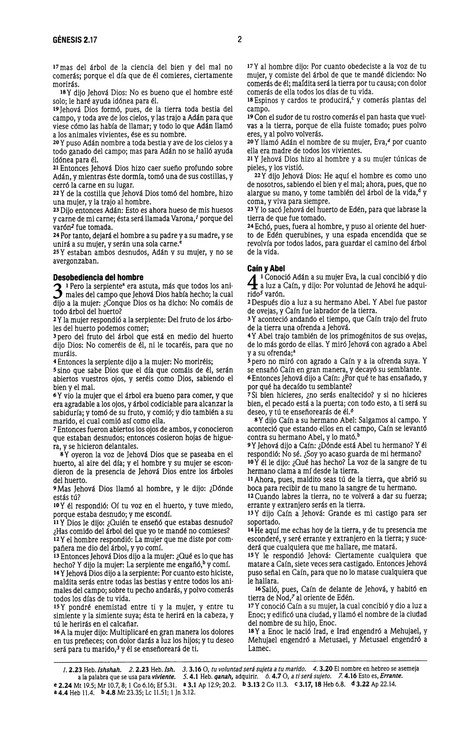 Reina Valera 1960 Santa Biblia Edición Económica, Tapa Blanda, Paisaje - Imagen 4