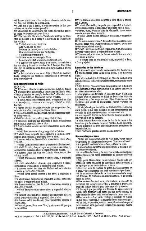 Reina Valera 1960 Santa Biblia Edición Económica, Tapa Blanda, Paisaje - Imagen 5