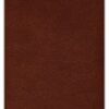 NASB, The Grace and Truth Study Bible, Premium Goatskin Leather, Brown, Premier Collection, Black Letter, 1995 Text, Art Gilded Edges, Comfort Print - Imagen 3