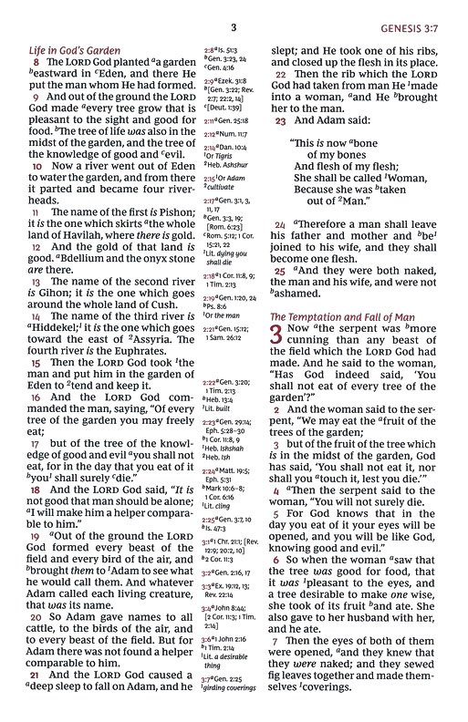 NKJV, Reference Bible, Classic Verse-by-Verse, Center-Column, Premium Goatskin Leather, Brown, Premier Collection, Red Letter, Comfort Print : Holy Bible, New King James Version - Imagen 6