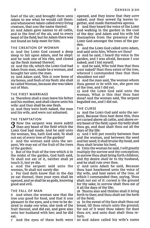 KJV, Thinline Bible, Large Print, Premium Goatskin Leather, Black, Premier Collection, Red Letter, Comfort Print : Holy Bible, King James Version - Imagen 6