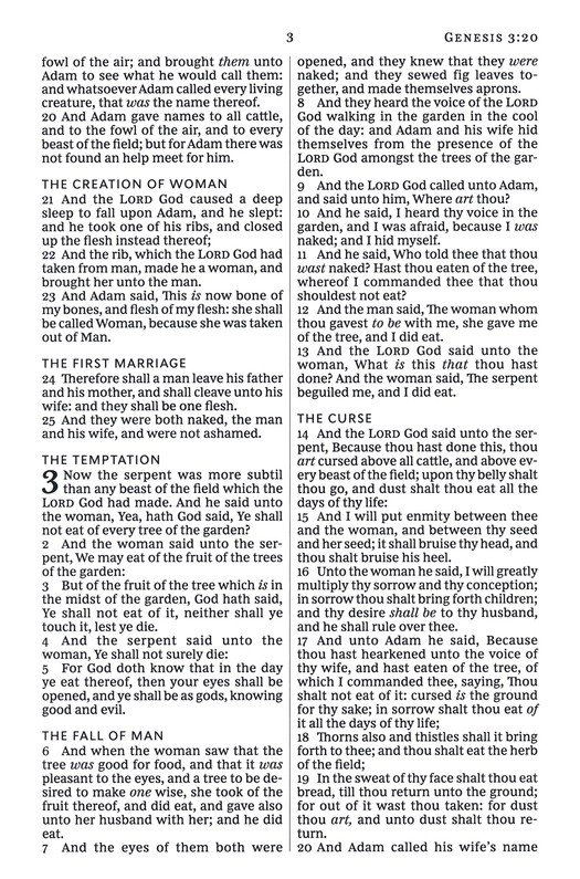 KJV, Thinline Bible, Large Print, Premium Goatskin Leather, Black, Premier Collection, Red Letter, Thumb Indexed, Comfort Print : Holy Bible, King James - Imagen 6