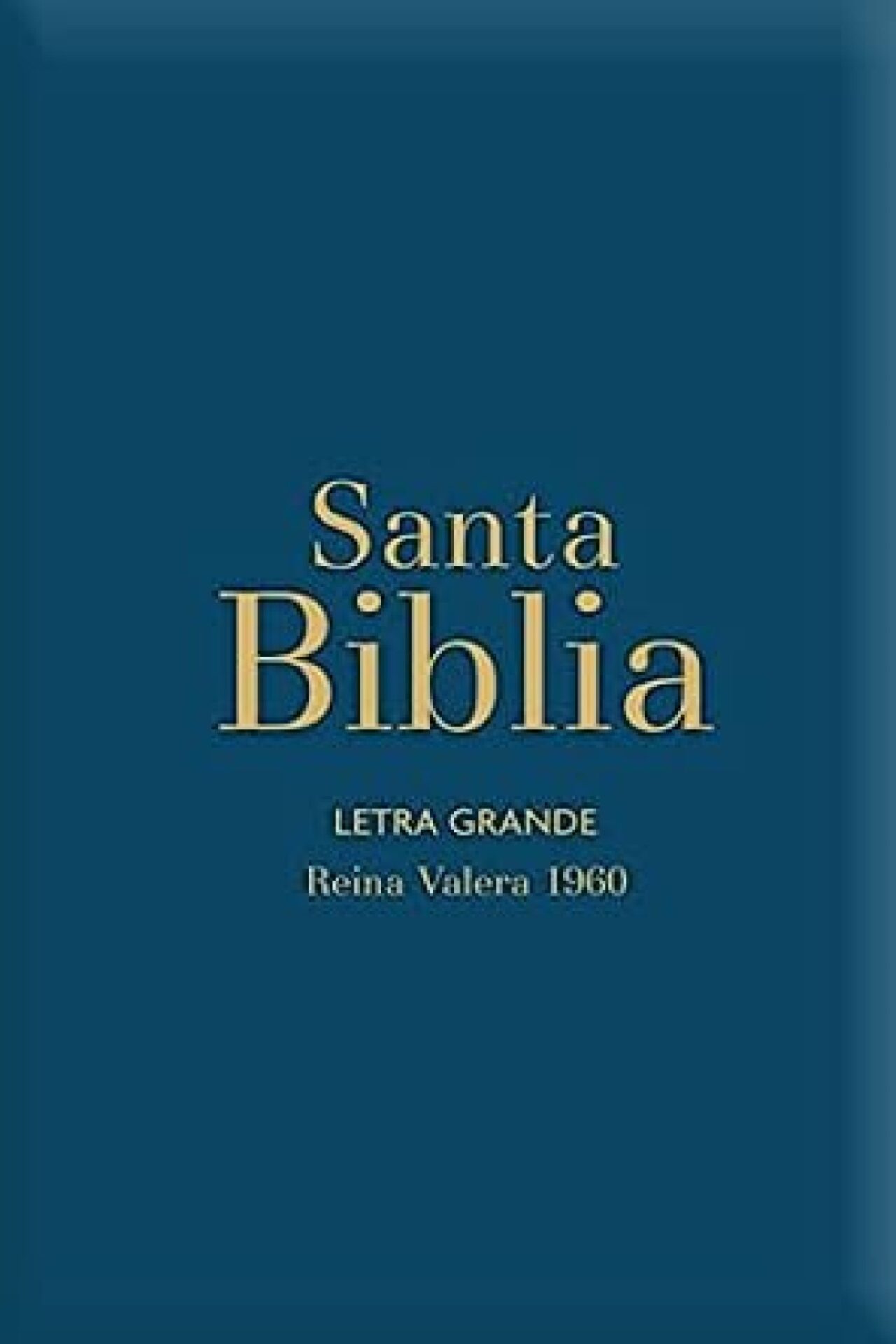 Biblia RVR 1960 Letra Grande - Tamaño Manual - Azul Acero Con Indice Y Cierre