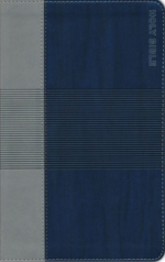 NIV, Teen Study Bible, Leathersoft, Blue, Comfort Print