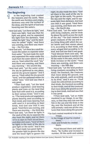 NIV, Teen Study Bible, Compact, Leathersoft, Brown, Comfort Print - Imagen 4