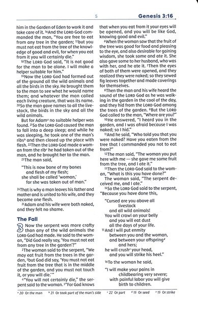 NIV, Teen Study Bible, Compact, Leathersoft, Brown, Comfort Print - Imagen 6