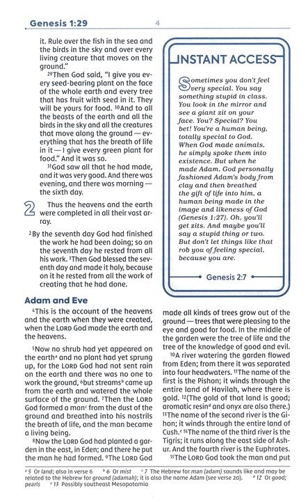 NIV, Teen Study Bible, Leathersoft, Teal, Comfort Print - Imagen 5