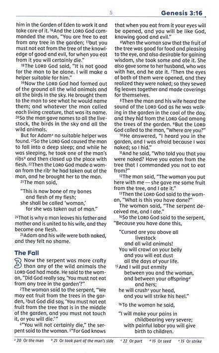 NIV, Teen Study Bible, Leathersoft, Teal, Comfort Print - Imagen 6