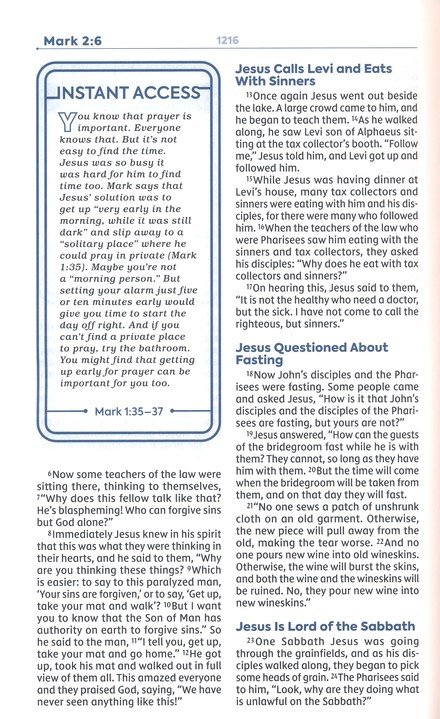 NIV, Teen Study Bible, Leathersoft, Teal, Comfort Print - Imagen 9