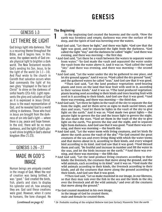 The Jesus Bible Artist Edition, NIV, Leathersoft, Gray Floral, Comfort Print - Imagen 4