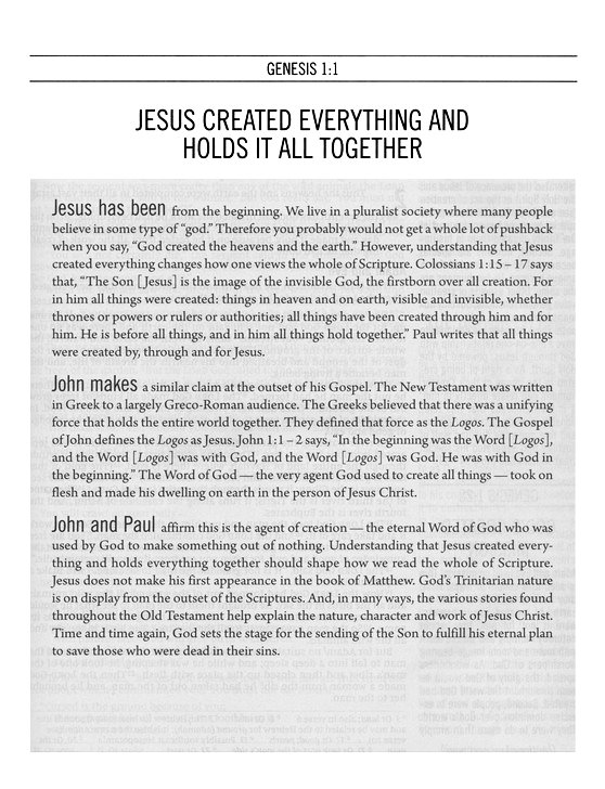 The Jesus Bible Artist Edition, NIV, Leathersoft, Gray Floral, Comfort Print - Imagen 5