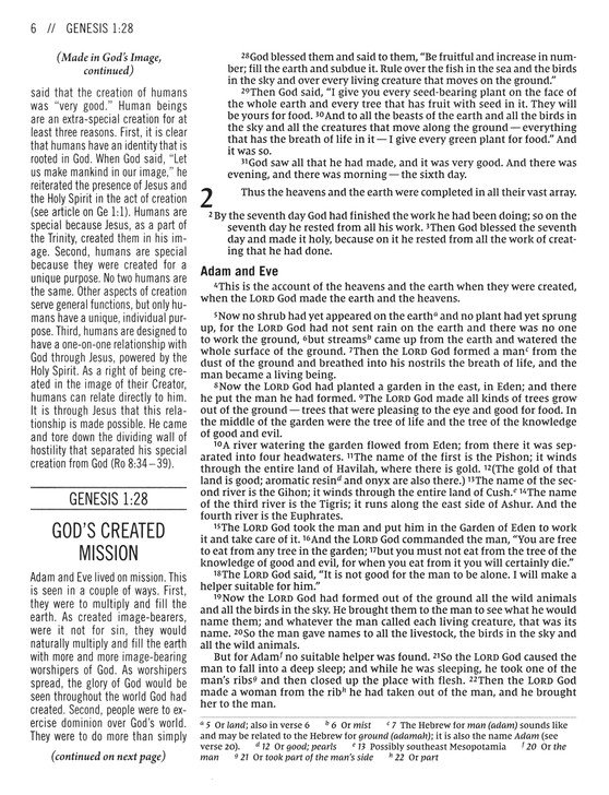 The Jesus Bible Artist Edition, NIV, Leathersoft, Gray Floral, Comfort Print - Imagen 6