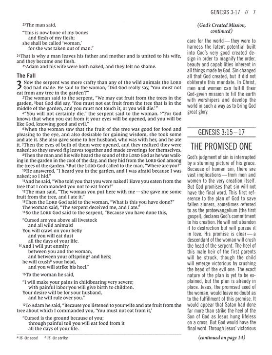 The Jesus Bible Artist Edition, NIV, Leathersoft, Gray Floral, Comfort Print - Imagen 7