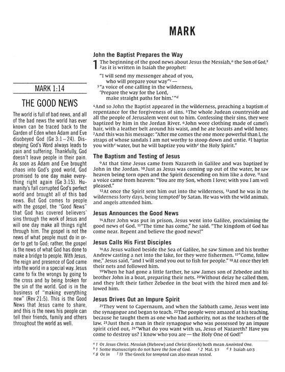 The Jesus Bible Artist Edition, NIV, Leathersoft, Gray Floral, Comfort Print - Imagen 8