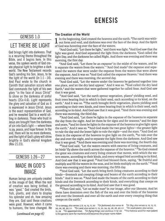 The Jesus Bible Artist Edition, ESV, Leathersoft, Peach Floral - Imagen 4