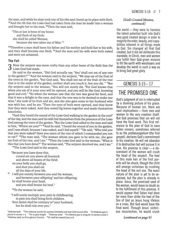 The Jesus Bible Artist Edition, ESV, Leathersoft, Peach Floral - Imagen 6