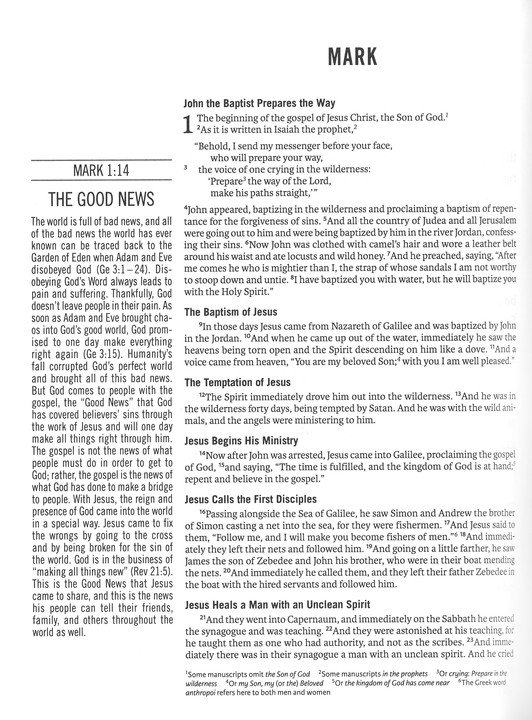 The Jesus Bible Artist Edition, ESV, Leathersoft, Peach Floral - Imagen 7